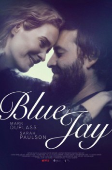 cover Blue Jay